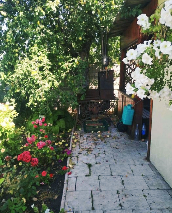 Добротный дом с шикарным садом, Чугуев