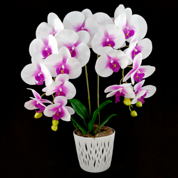 Орхидея из латекса/Орхидея искуственная