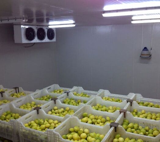 Хранение груш, камера зберігання яблук чернівці тернопіль холодильна