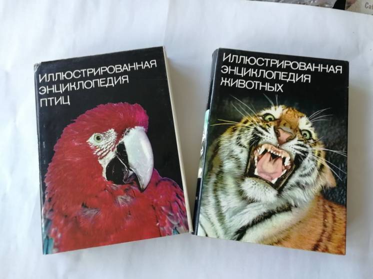 Иллюстрированная энциклопедия животных, насекомых, птиц. Две книги.