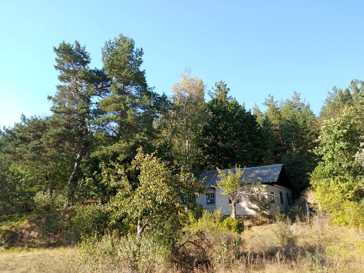 Продам домик под дачу на опушке соснового леса в Введенке!