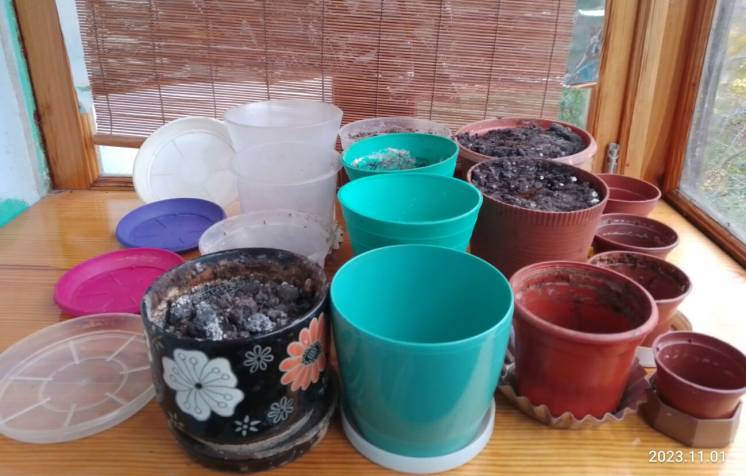 Цветочники лестнички тарелки для растений, алоэ, томат семена, грунт