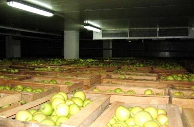 Хранение яблок, груш, фруктов холодильные установки, агрегаты, камеры
