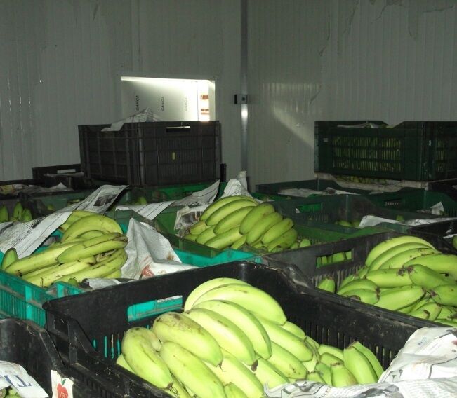 Холодильный агрегат камера для фруктов бананов, установка Харьков