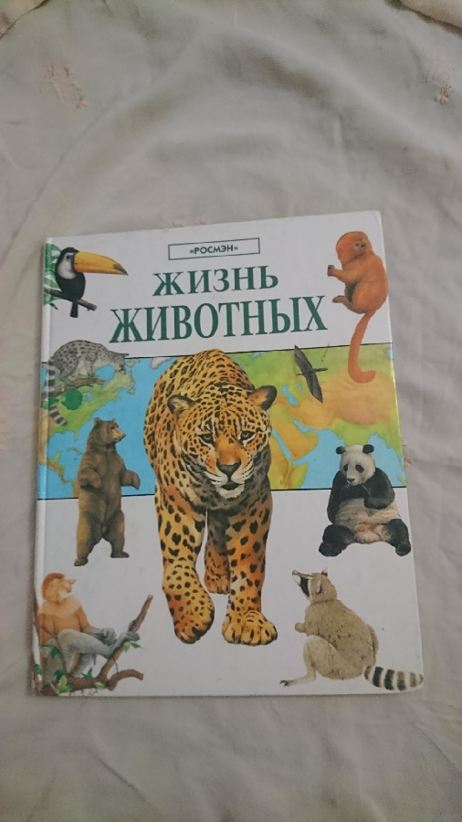 Жизнь животных энциклопедия для детей