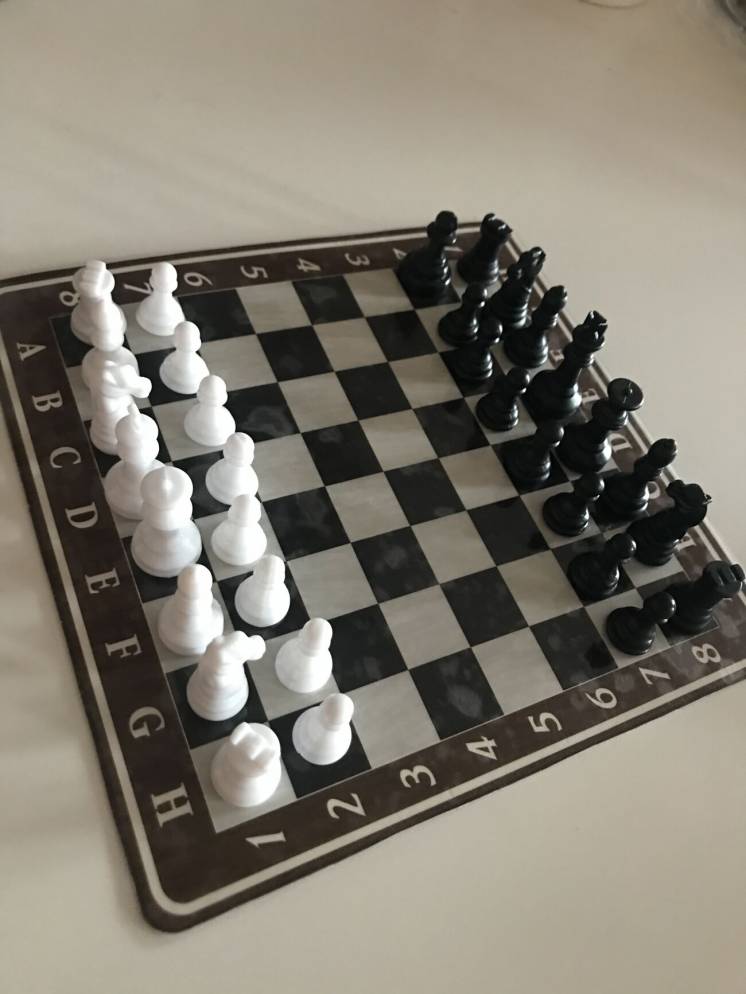 Шахматы дорожные