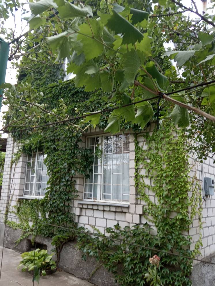 Продам жилой дом-дачу на берегу Хаджибеевского лимана 27 км от Одессы
