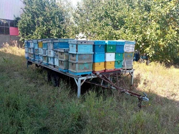 Пчеловодческая платформа площадка прицеп для ульев