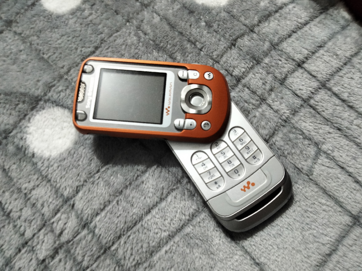 Sony Ericsson w 550i