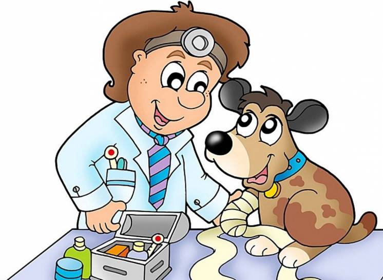 Услуги ветеринара-кастрация,стерилизация,терапия,вакцинация
