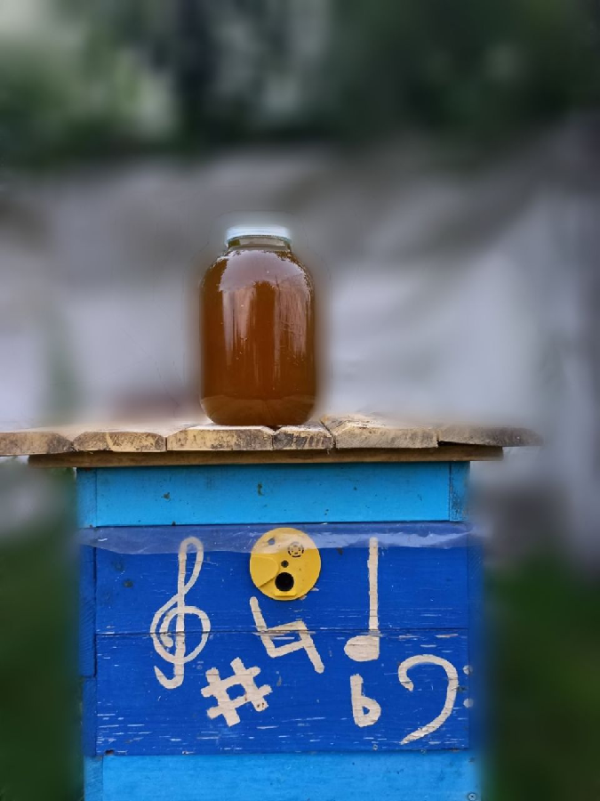 Мед весенний свежий