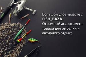 Fish Baza