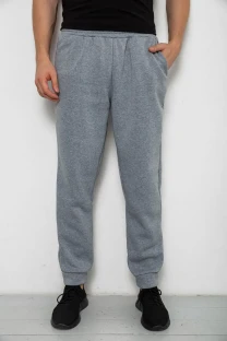 Спортивні штани чоловічі на флісі, колір сірий, 238R58641