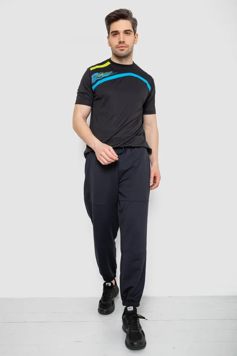 Спортивні штани чоловічі демісезонні, колір темно-синій, 241R001-1 2