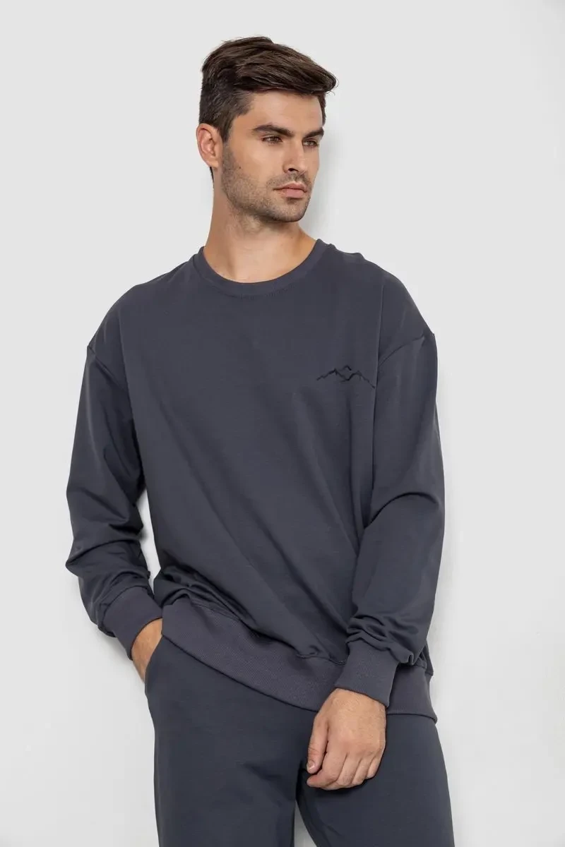 Спортивний чоловічий демісезонний костюм, колір сірий, 241R176 2