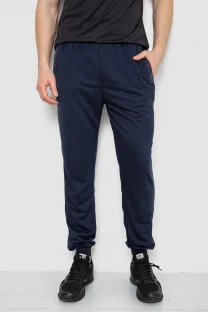Спорт штани чоловічі, колір темно-синій, 244R41669