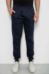 Спорт штани чоловічі, колір темно-синій, 244R4779