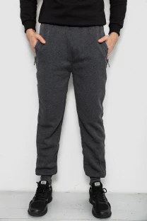 Спортивні штани чоловічі на флісі, колір сірий, 244R6120