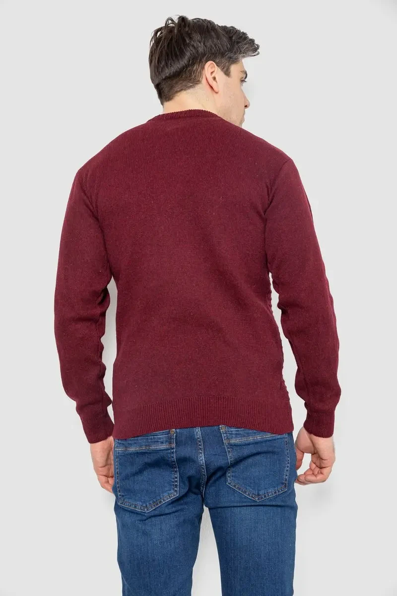 Светр чоловічий в смужку, колір бордовий, 161R1029 4
