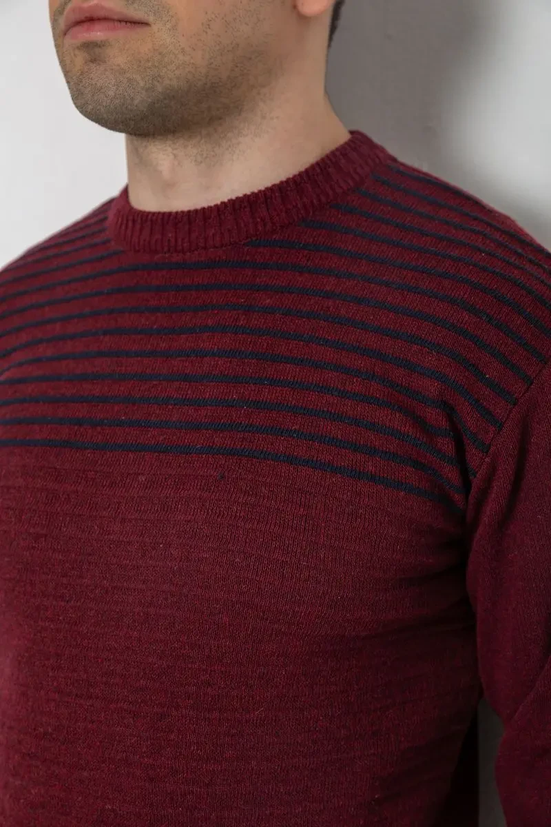 Светр чоловічий в смужку, колір бордовий, 161R1029 5