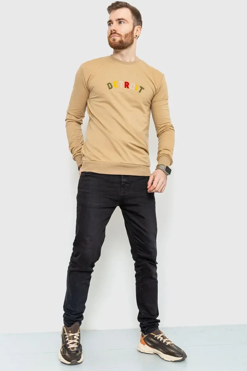 Світшот чоловічий демісезонний, колір бежевий, 208R0204 2