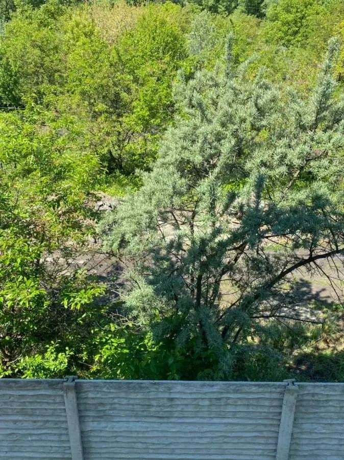 8-к будинок Київ, Деснянський, Карла Маркса 1 13