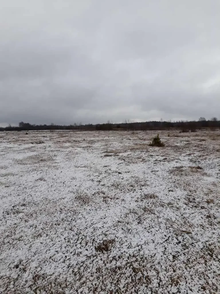 ділянка під житлову забудову Ковельський, Ковель, М.Кримчука 2