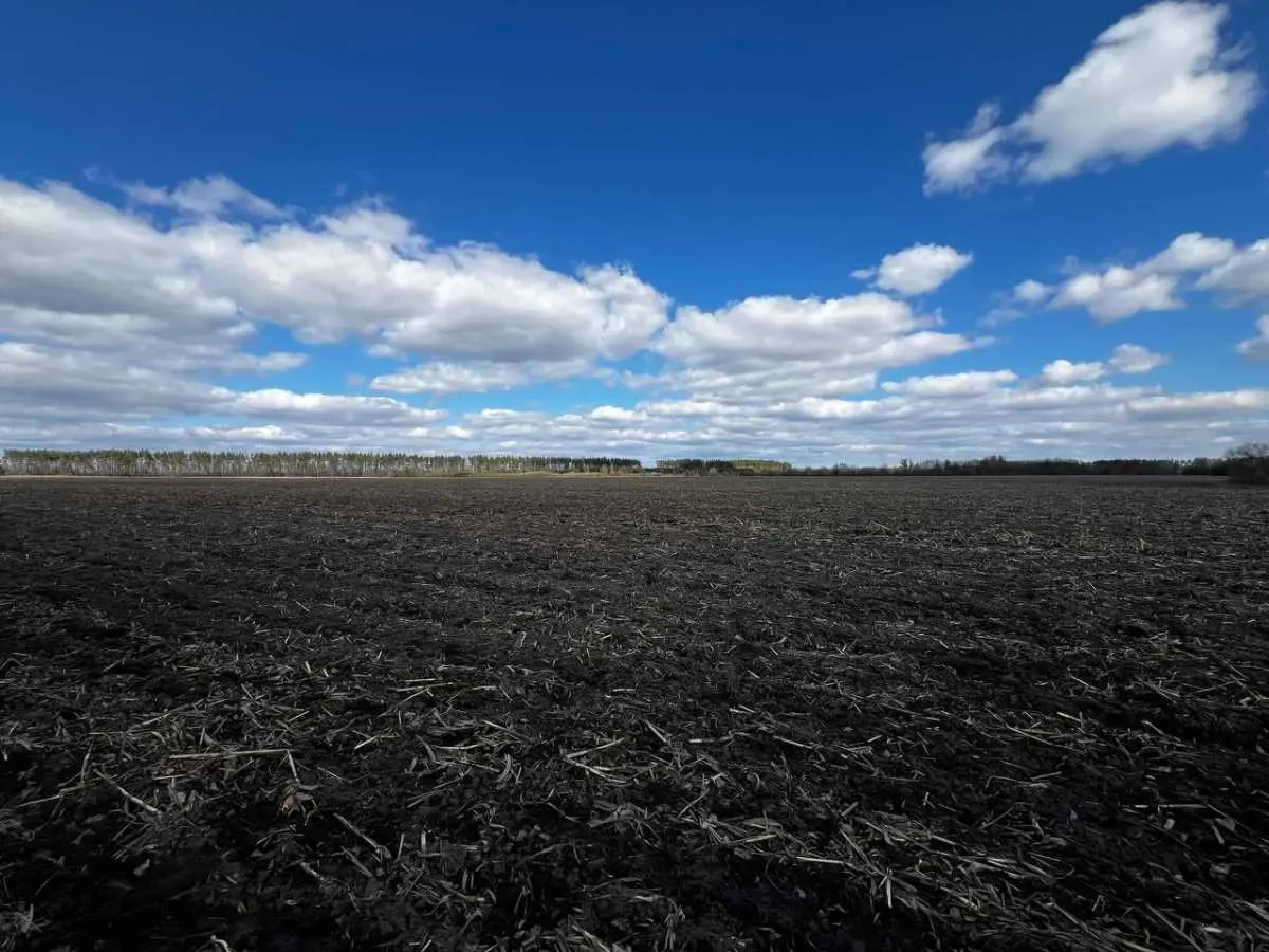 ділянка сільськогосподарського призначення Фастівський, Грузьке, Нова