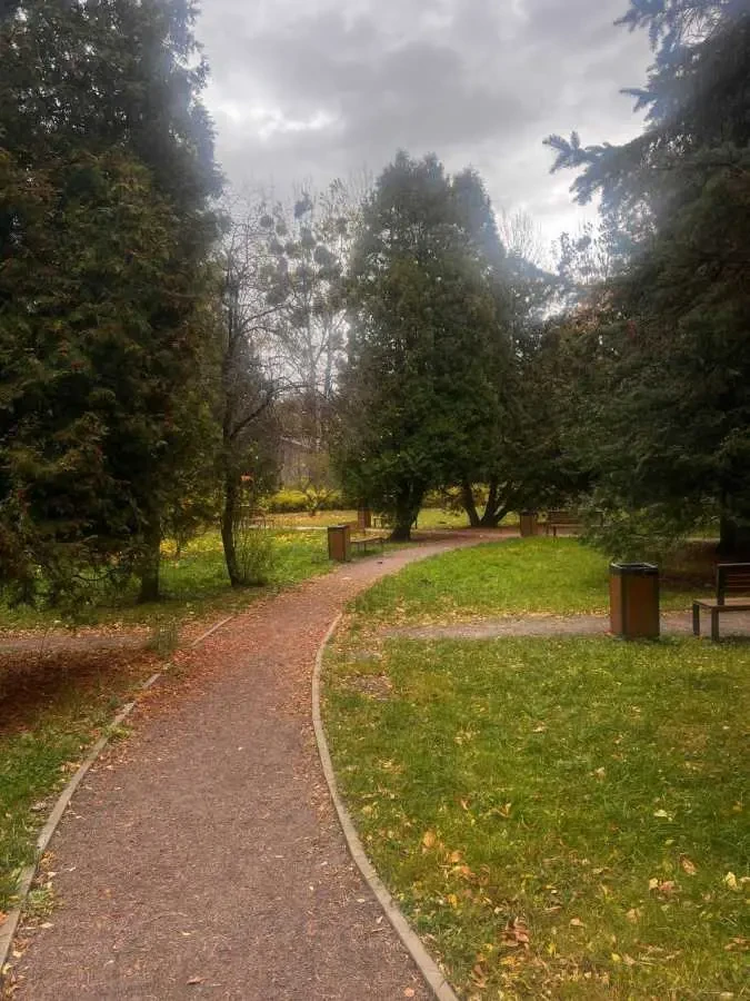 приміщення, будівлі Львів, Галицький, Грабовського 11 8