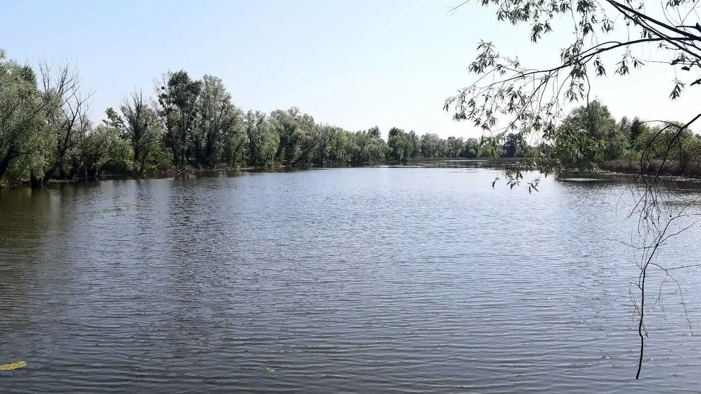 ділянка сільськогосподарського призначення Бориспільський, Головурів.. 7