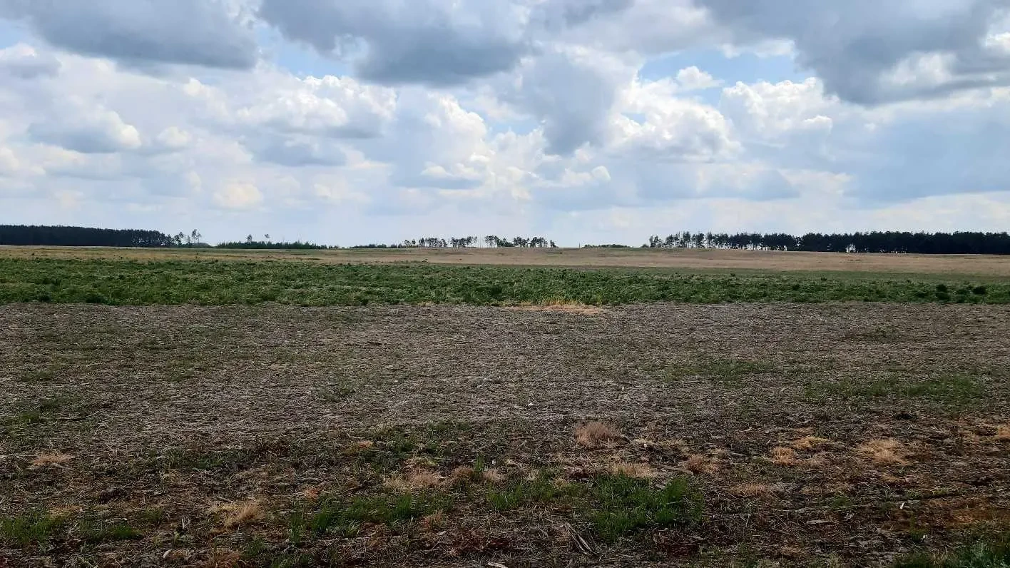 ділянка сільськогосподарського призначення Бориспільський, Головурів.. 3