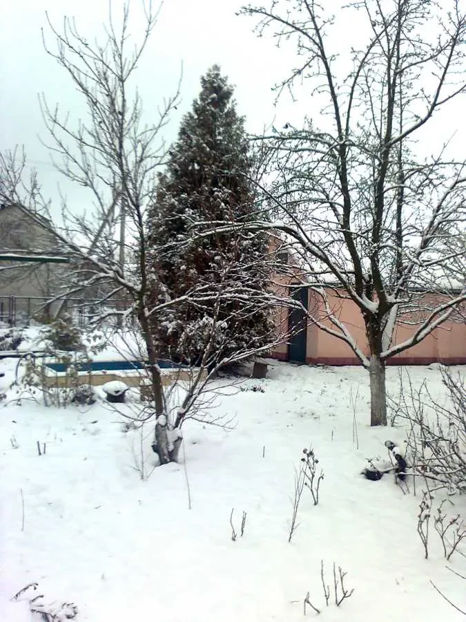 7-к будинок Черкаси, Лозове, Рыбальская 12