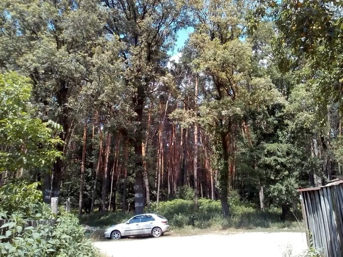 ділянка під житлову забудову Київ, Подільський, Синьоозерна 12