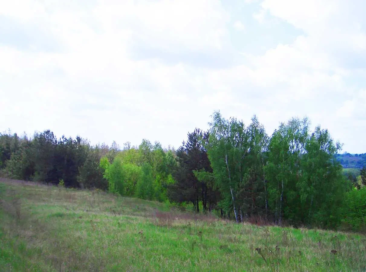 ділянка під житлову забудову Обухівський, Васильків, улица Винниченко 3
