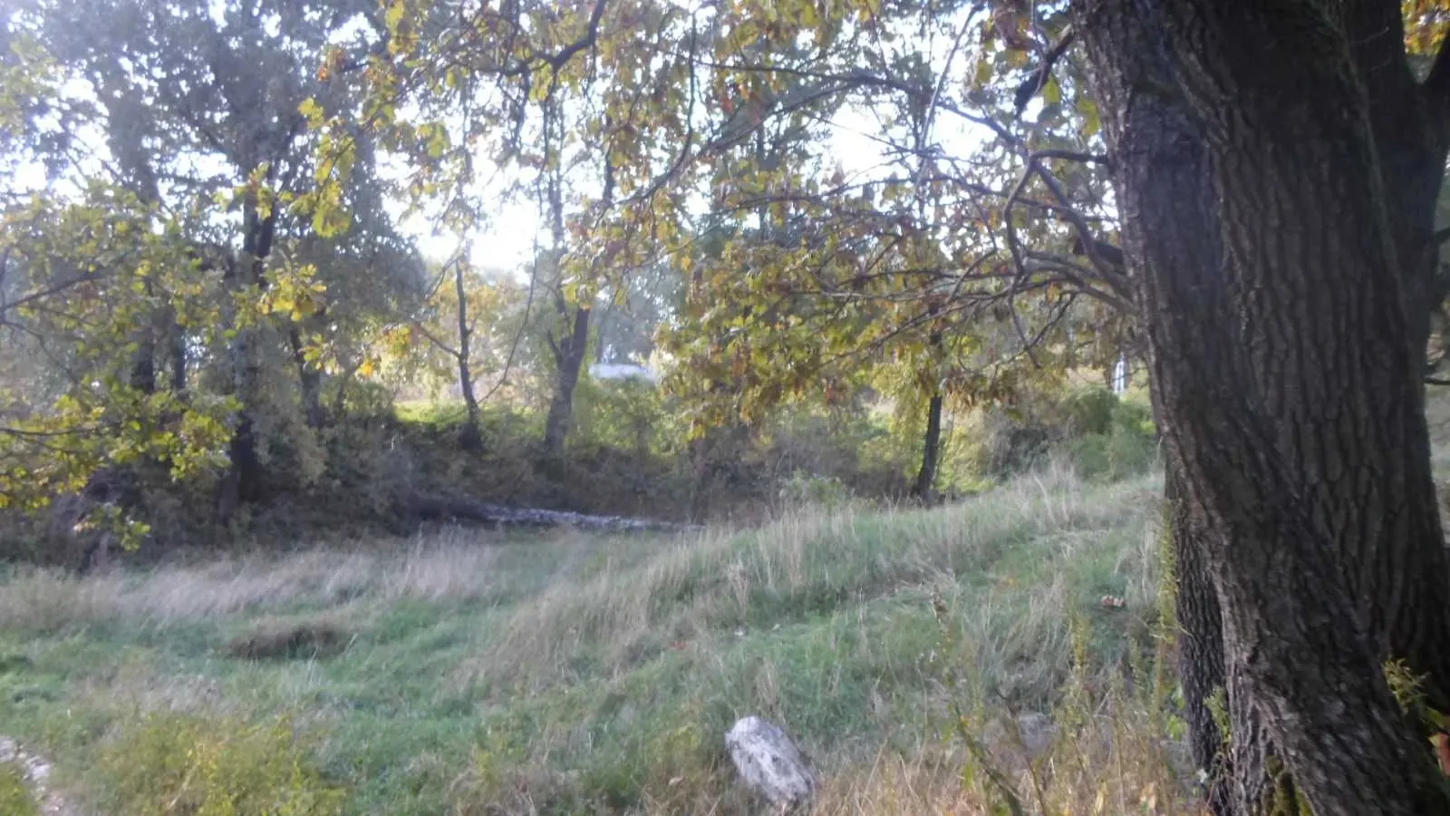 ділянка комерційного призначення Обухівський, Іванковичі, Ленина 3