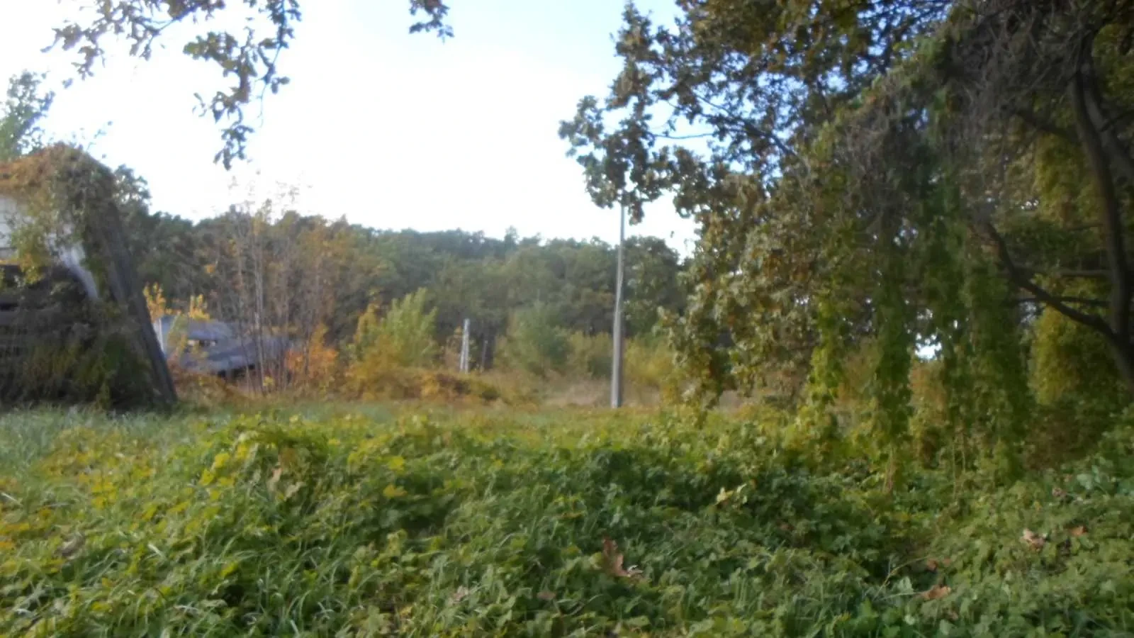 ділянка комерційного призначення Обухівський, Іванковичі, Ленина 5