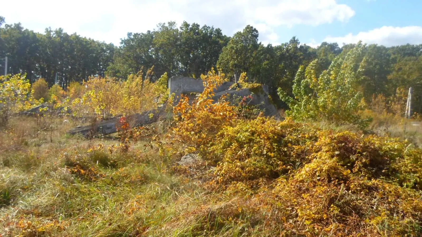 ділянка комерційного призначення Обухівський, Іванковичі, Ленина 9