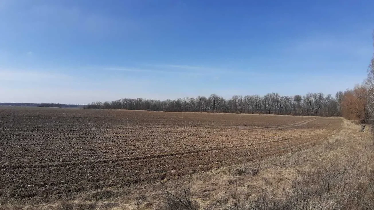 ділянка сільськогосподарського призначення Бориспільський, Сеньківка..