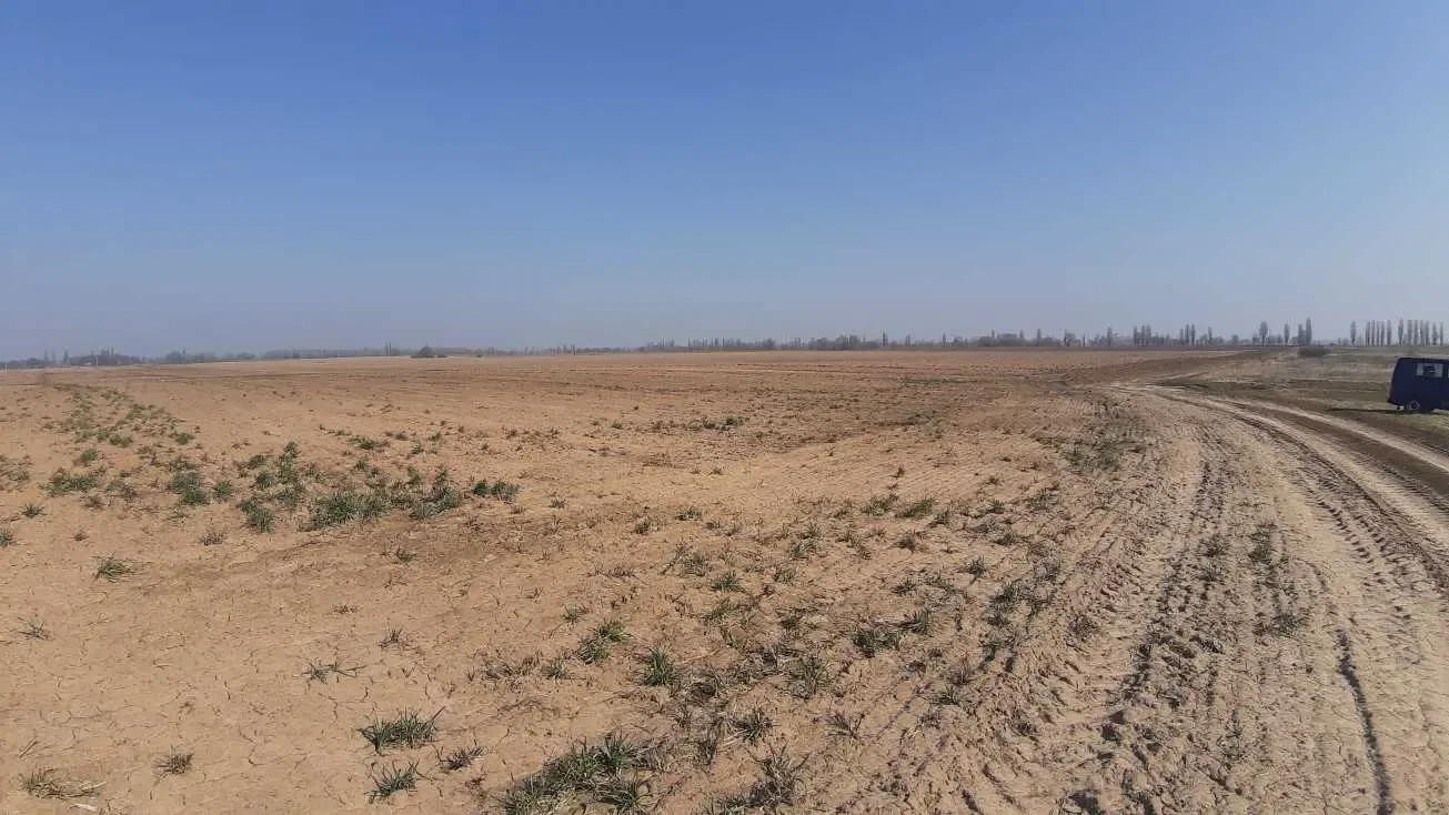 ділянка сільськогосподарського призначення Бориспільський, Вороньків.. 4