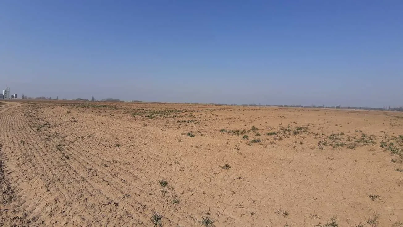 ділянка сільськогосподарського призначення Бориспільський, Вороньків.. 2