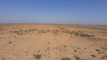 ділянка сільськогосподарського призначення Бориспільський, Вороньків..