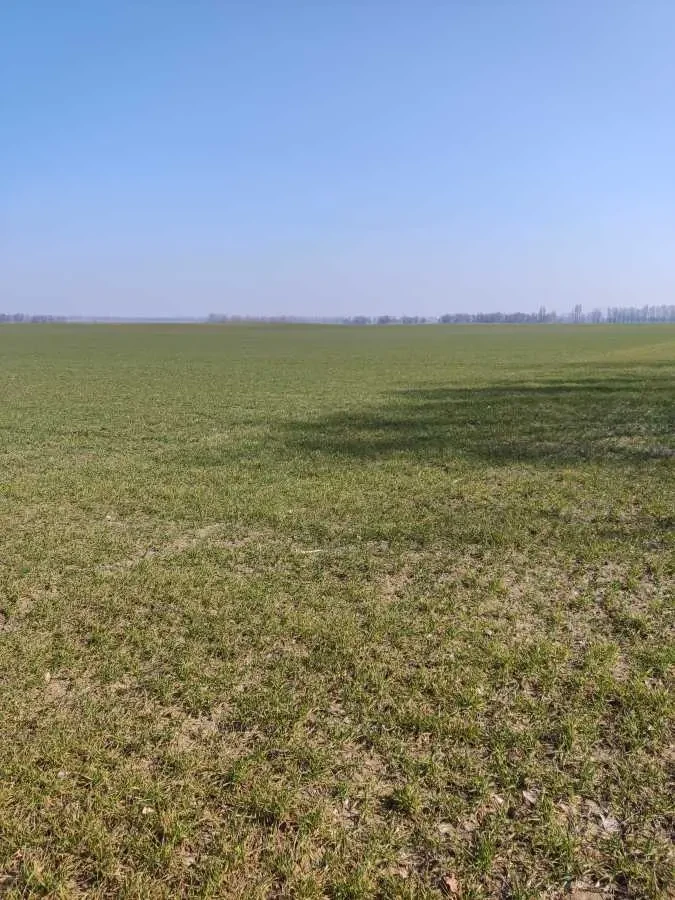 ділянка сільськогосподарського призначення Бориспільський, Вороньків.. 3