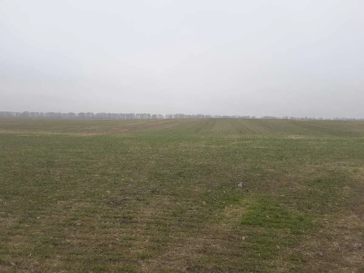 ділянка сільськогосподарського призначення Бориспільський, Вороньків.. 3