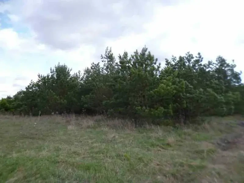 ділянка сільськогосподарського призначення Бориспільський, Вороньків.. 4