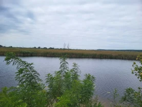 ділянка сільськогосподарського призначення Бориспільський, Вороньків..