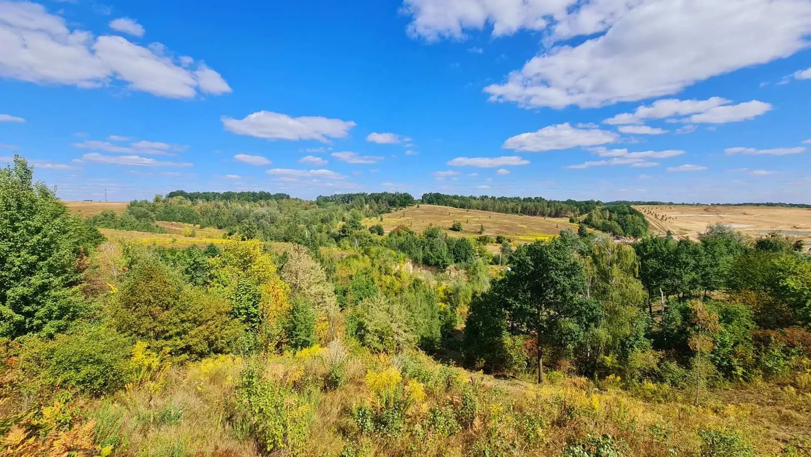 ділянка під житлову забудову Обухівський, Лісники, Щаслива 19