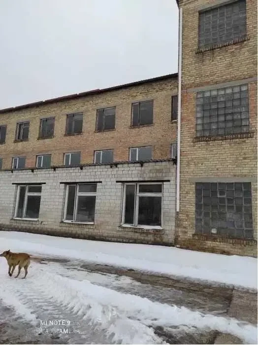 виробничі приміщення Бучанський, Бородянка, заводська 45 5