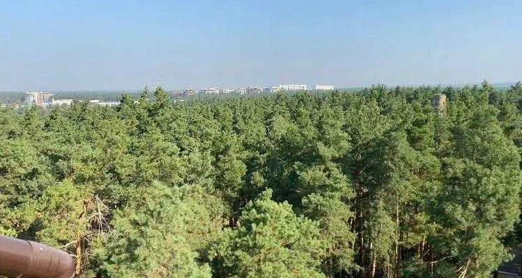 2-к квартира Бучанський, Ірпінь, 11 лінія 4 4