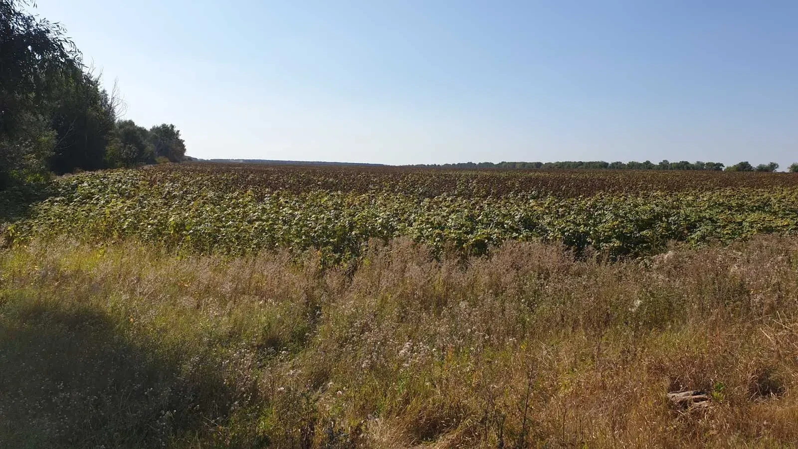 ділянка комерційного призначення Фастівський, Велика Солтанівка, Нев.. 3