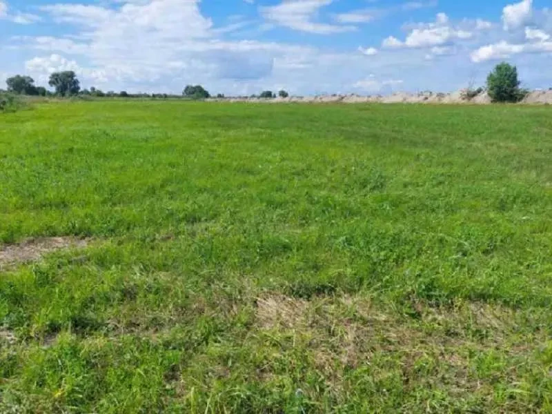 ділянка сільськогосподарського призначення Броварський, Зазим`я, Заз.. 6